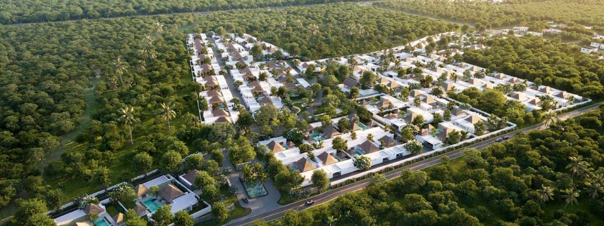 Anchan Mountain Breeze