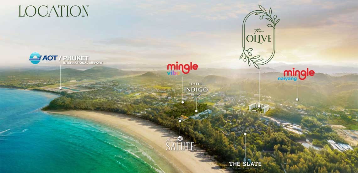 The Olive page location